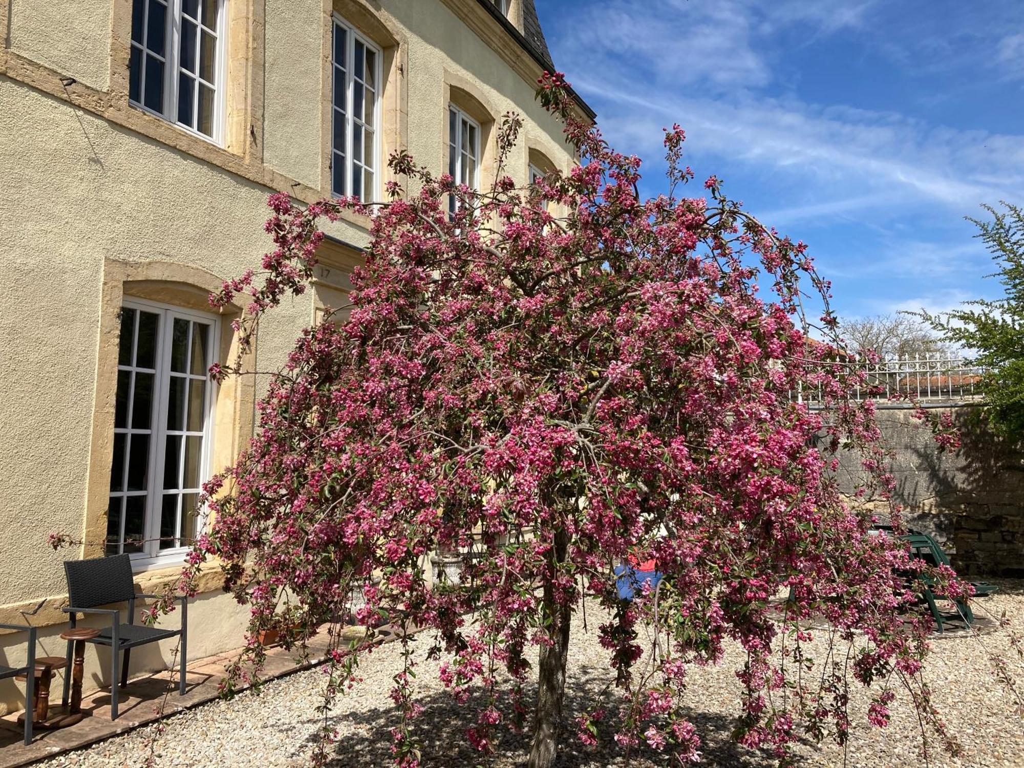 Maison Les Beaux Arts Mouzay  외부 사진